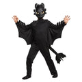 Boy\'s Toothless Classic Halloween Costume